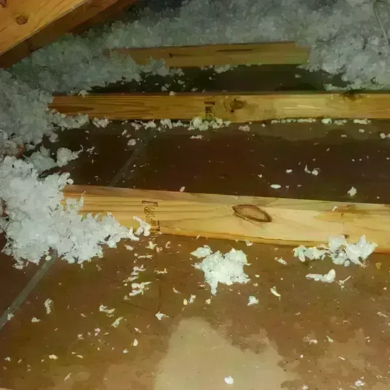 Attic Water Damage in Liberty, UT