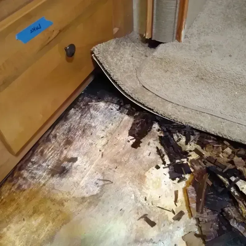 Wood Floor Water Damage in Liberty, UT